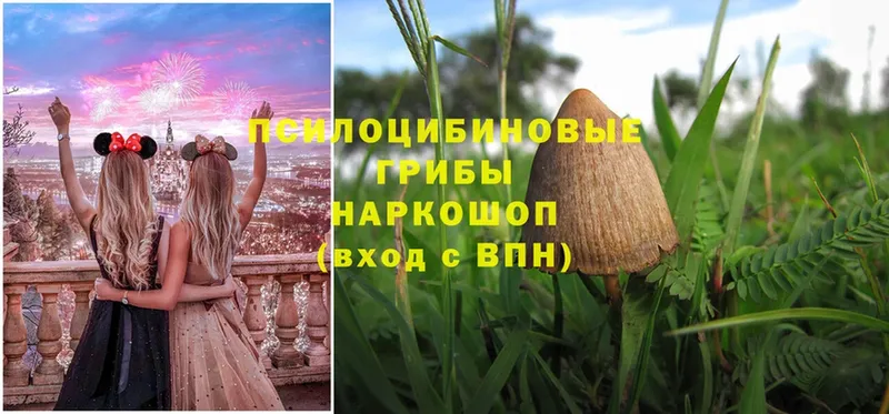 MEGA ссылка  площадка формула  Благовещенск  Галлюциногенные грибы Magic Shrooms  купить  